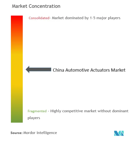 中国の自動車用アクチュエーター市場集中度