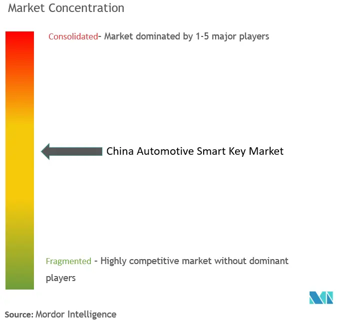 China Automotive Smart Keys Market Concentration