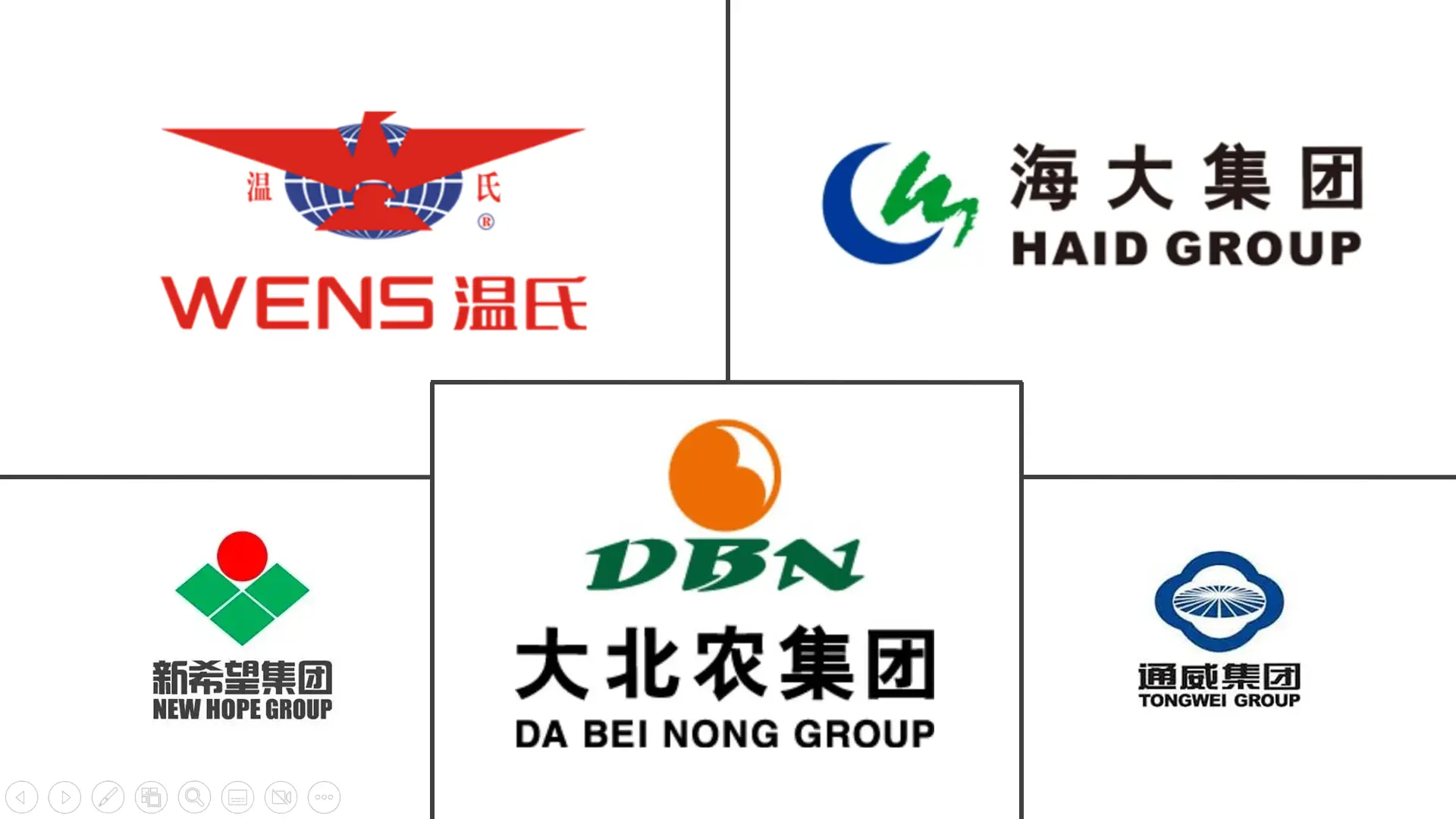 Major players in China Compound Feed industry