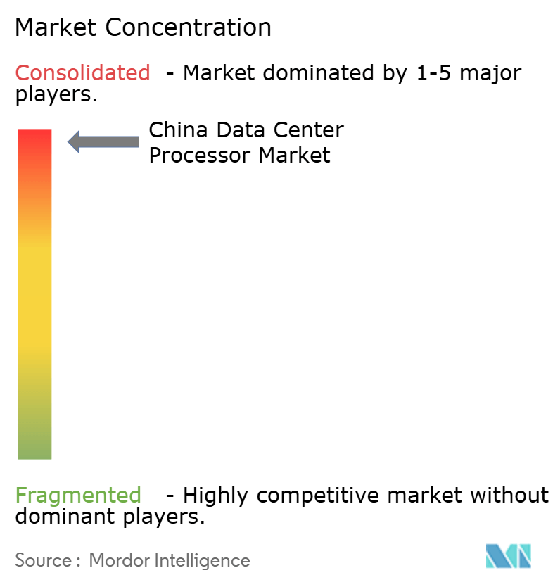 China Data Center Processor Market Concentration