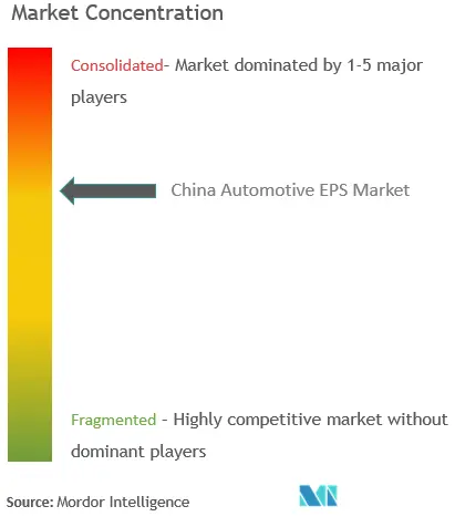 China Electric Power Steering Market Concentration