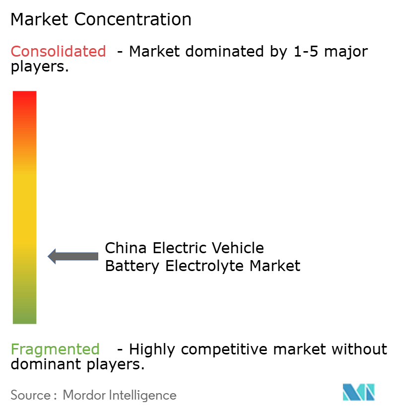 China Electric Vehicle Battery Electrolyte Market Concentration