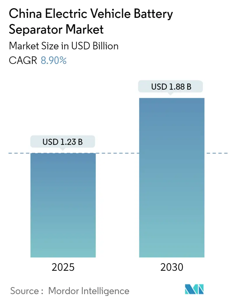 China Electric Vehicle Battery Separator Market Summary