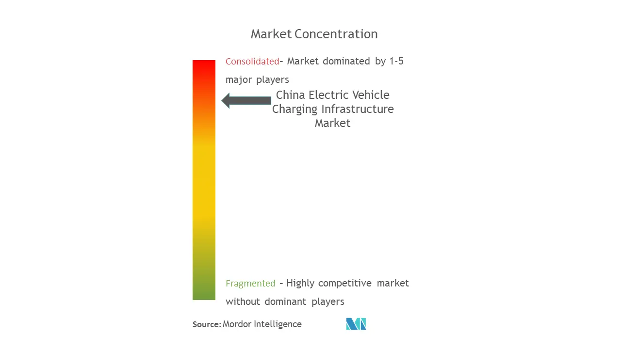 Infraestructura de carga de vehículos eléctricos de ChinaConcentración del Mercado