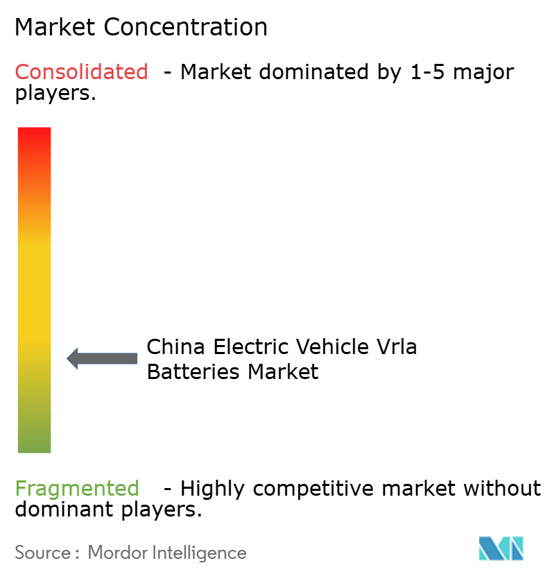 China Electric Vehicle VRLA Batteries Market Concentration