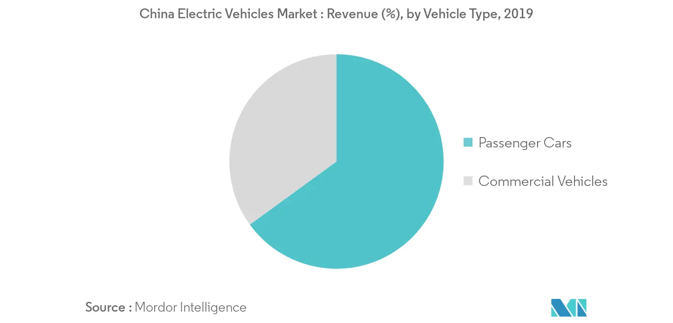 China Electric Vehicles Market Share