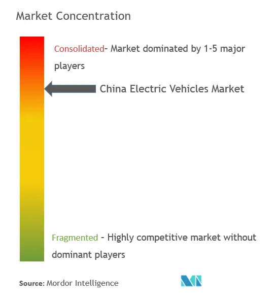 Concentración del mercado de vehículos eléctricos de China