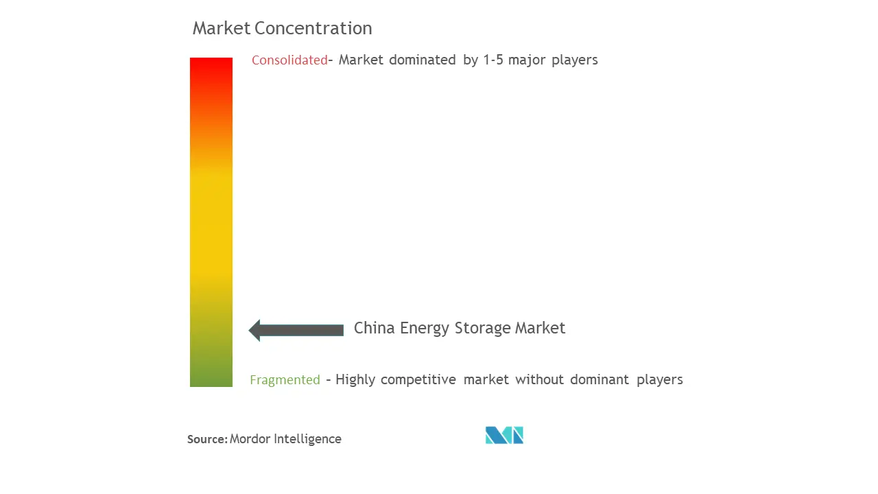 Contemporary Amperex, Technology Co., Limited., Tianjin Lishen Battery Joint-Stock Co., Ltd., EVE Energy Co., Ltd., BYD, and Shanghai Electric Gotion New Energy Technology Co.ltd.