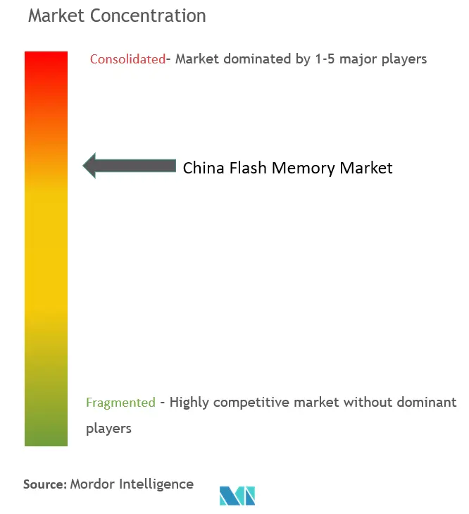 China Flash Memory Market Concentration