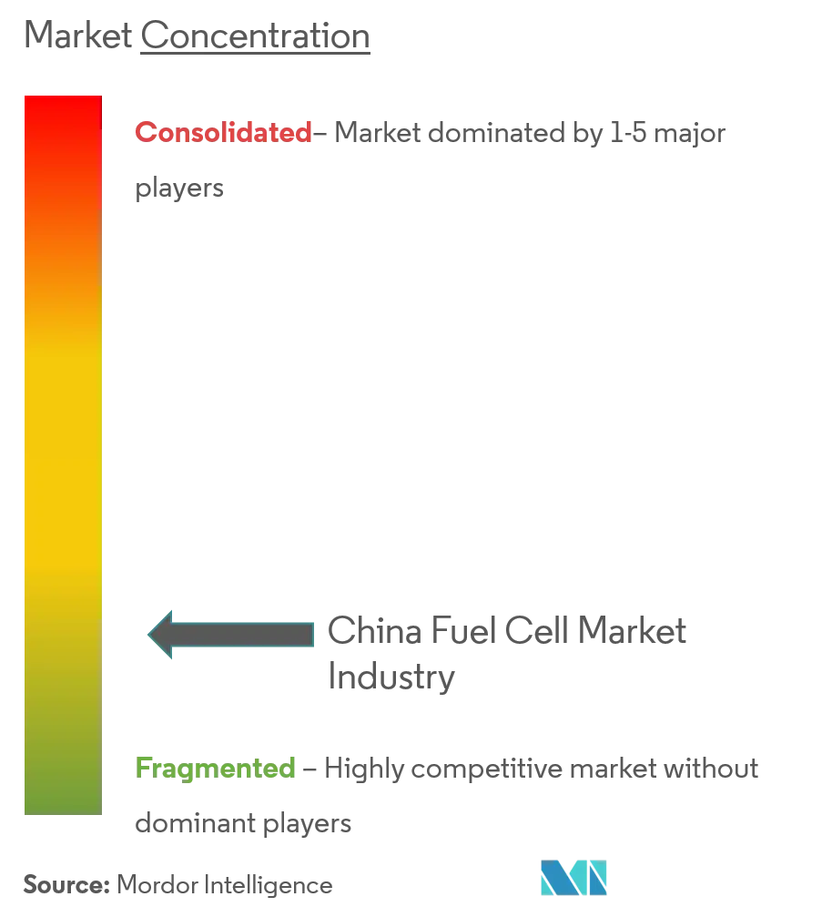 China Pila de combustibleConcentración del Mercado