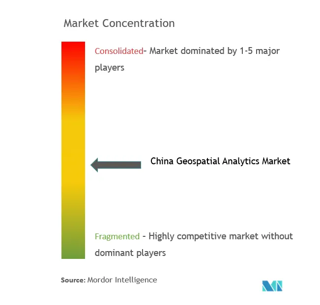 China Geospatial Analytics Market Concentration