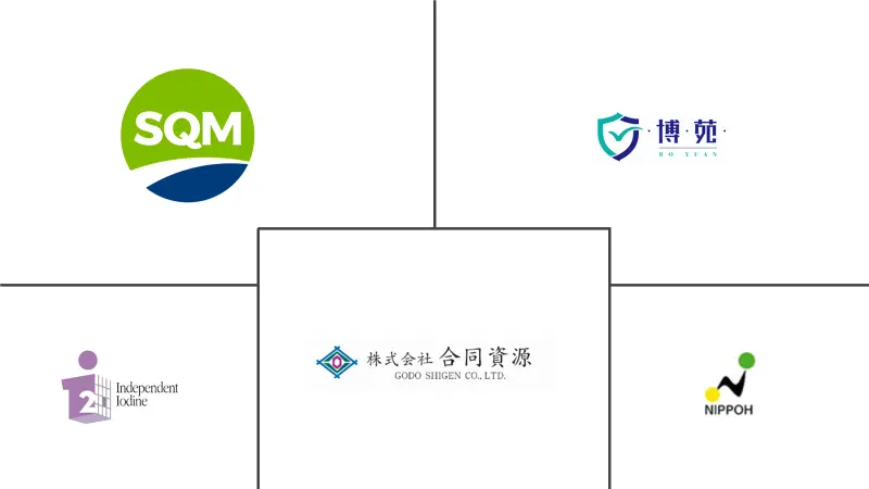 China Inorganic Iodide Market Major Players