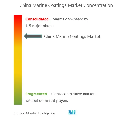 China Marine Coatings Market Concentration