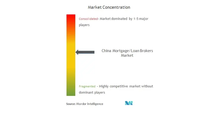 China Mortgage/Loan Brokers Market Concentration
