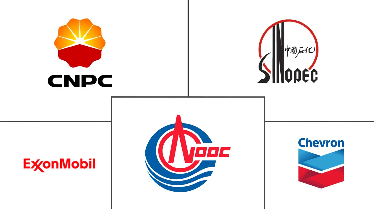 China oil and gas market major players