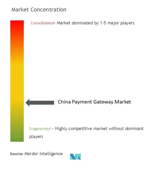 China Payment Gateway Market Concentration