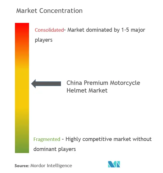 China Premium Motorcycle Helmet Market Concentration