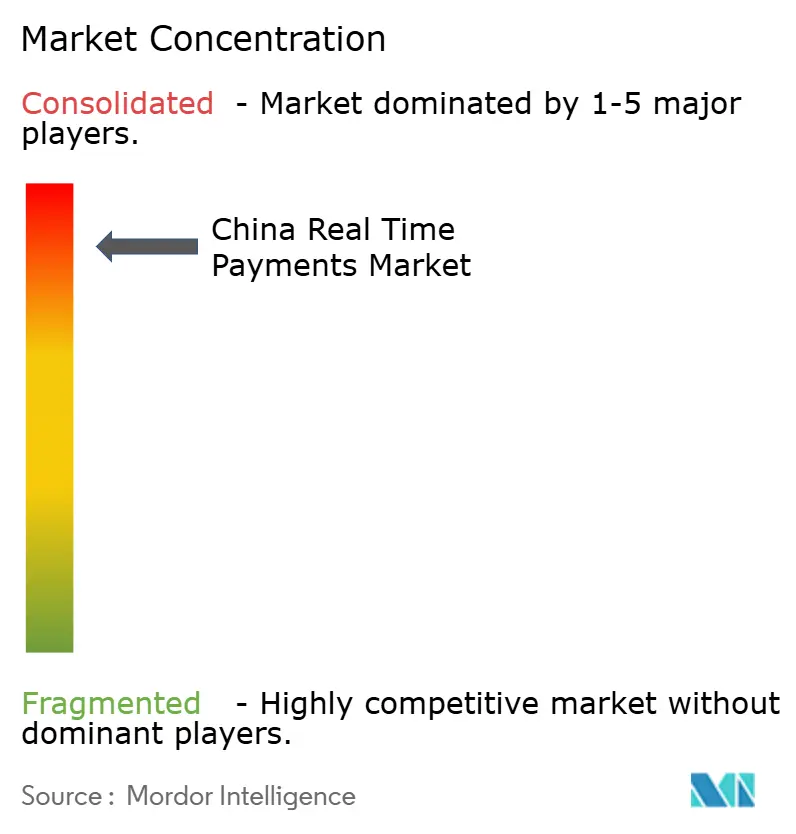 China Real Time Payments Market comaptivve logo1.jpg