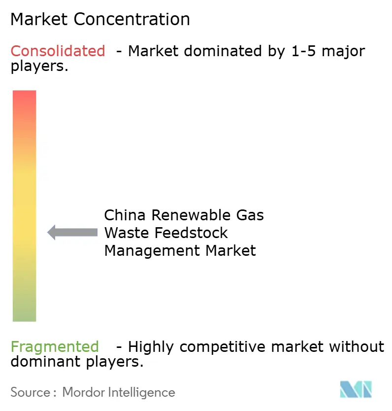 China Renewable Gas Waste Feedstock Management Market Concentration