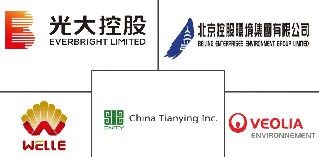 Major players in China Renewable Gas Waste Feedstock Management industry