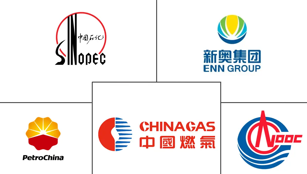 Major players in China Renewable Gas From Waste industry
