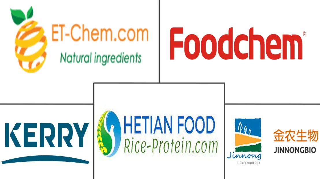 China Rice Protein Market Major Players