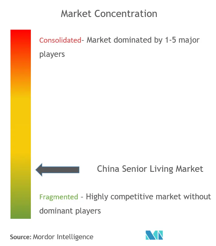 Análisis del mercado de China Senior LivingConcentración del Mercado