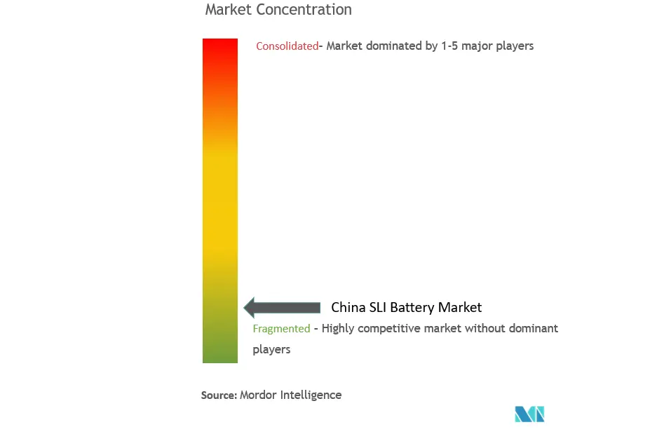 China SLI Battery Market Concentration