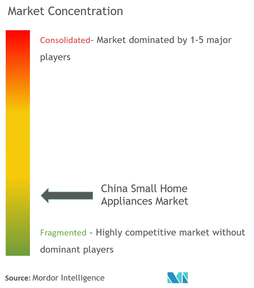 China Small Home Appliances Market Concentration