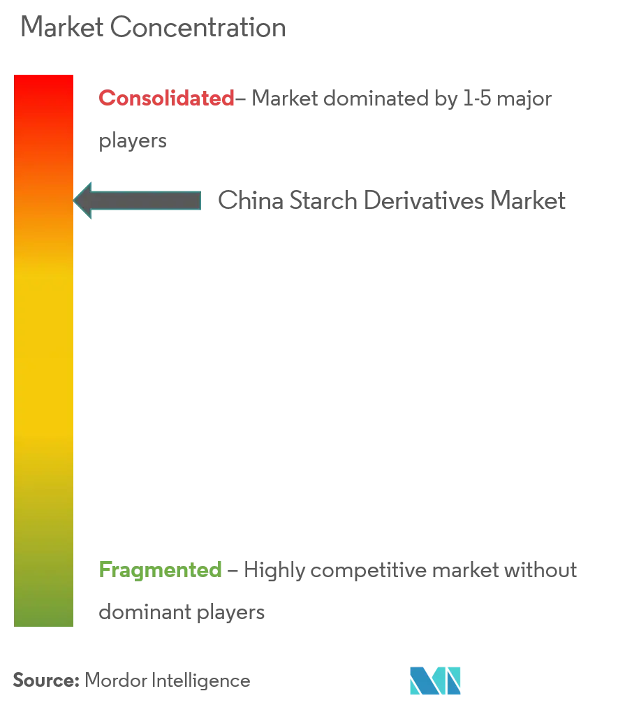 China Starch Derivatives Market Concentration