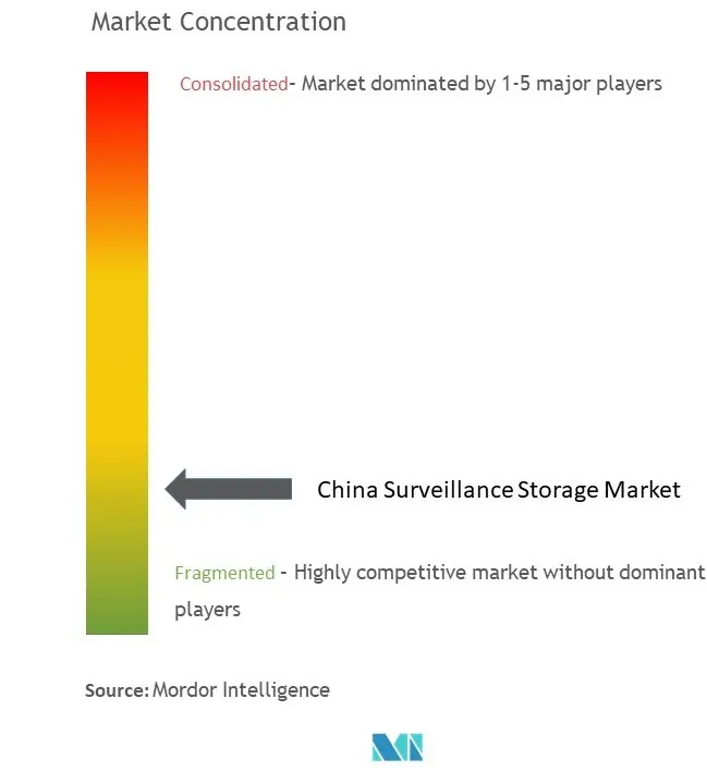 China Surveillance Storage Market Concentration