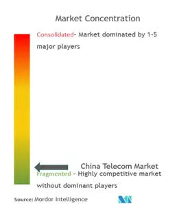China Telecom Market Concentration