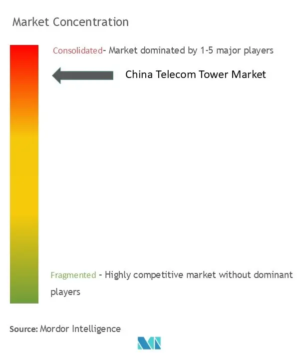 China Telecom Towers Market Concentration