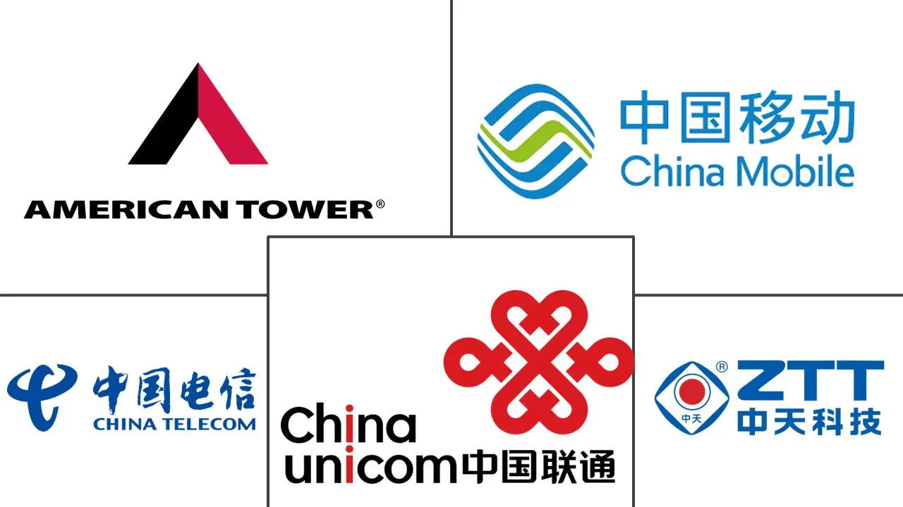  China Telecom Towers Market Major Players