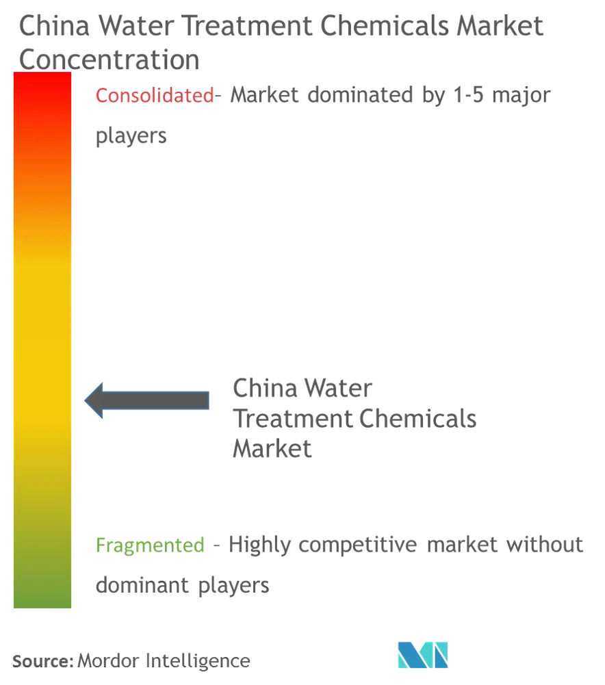 China Water Treatment Chemicals Market - Market Concentration.png