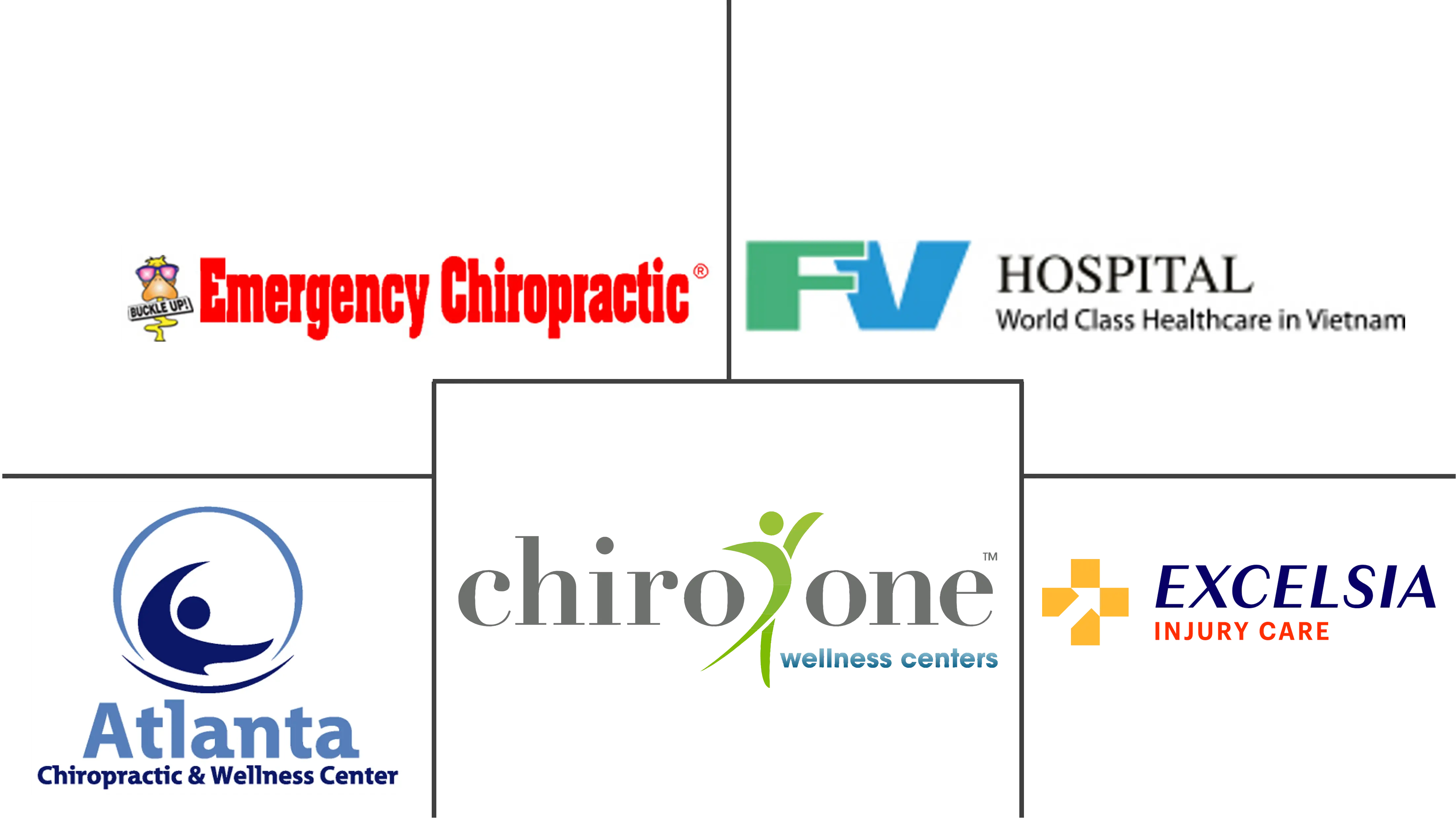 Chiropractic Care Market Major Players