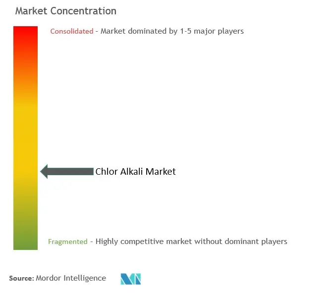 Chlor-alkali Market Concentration