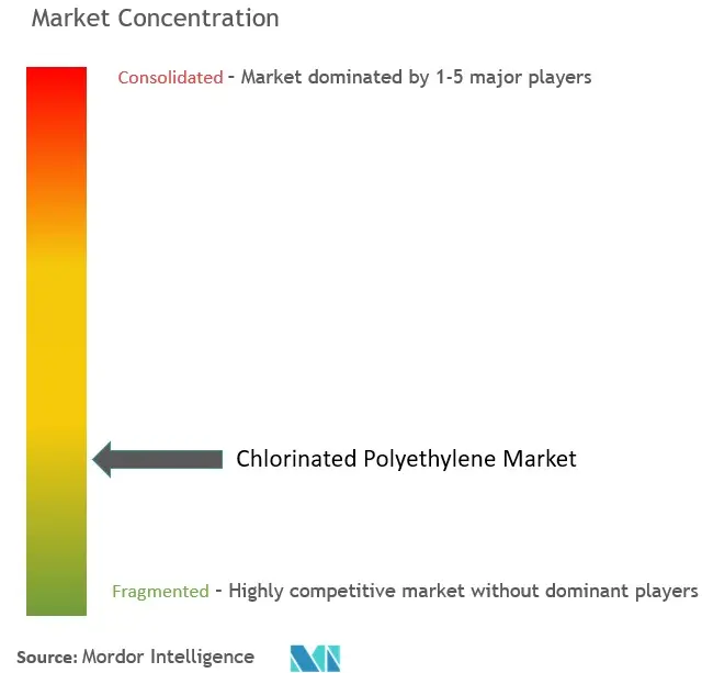 Chlorinated Polyethylene Market Concentration
