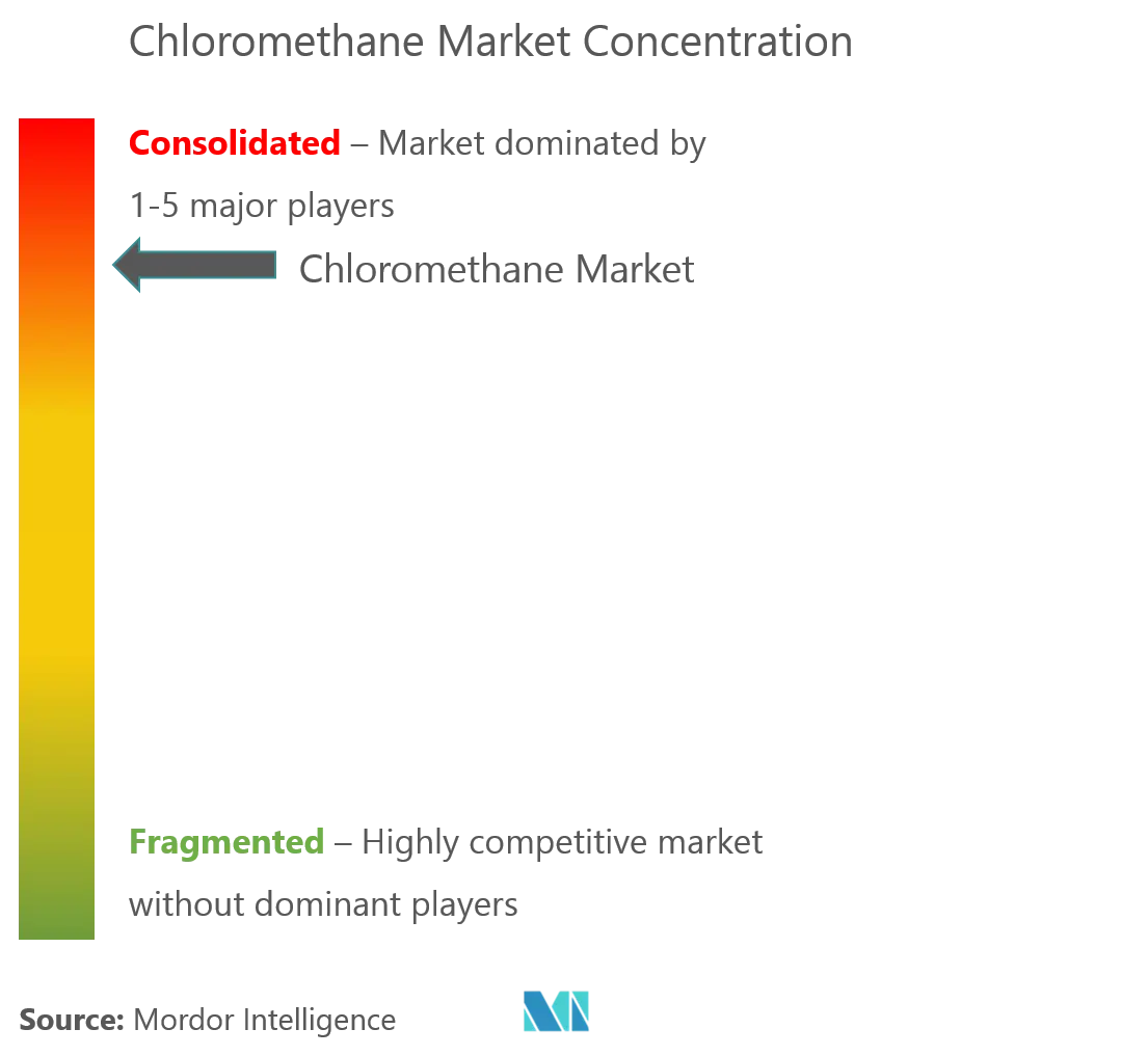 Chloromethane Market Analysis