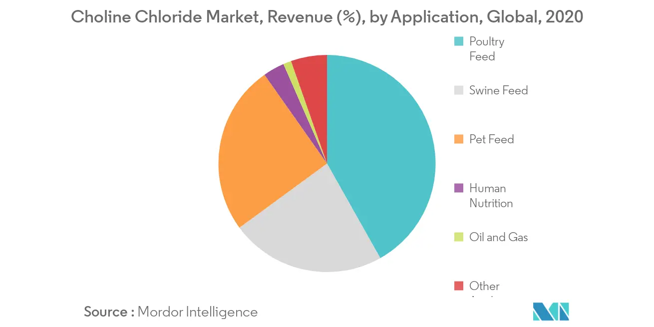 Choline Chloride Market Key Trends