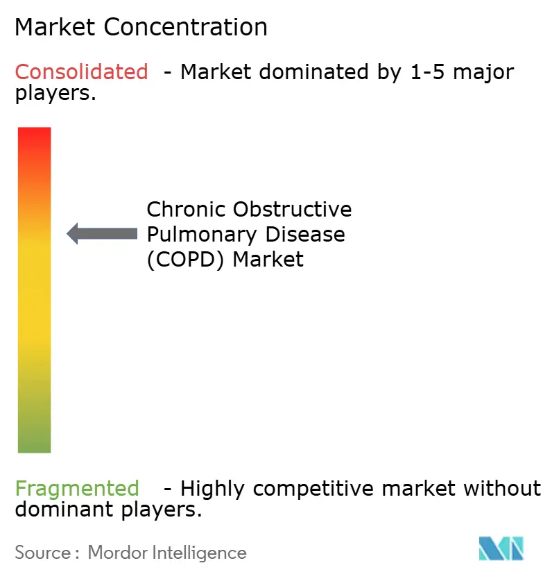 Chronic Obstructive Pulmonary Disease (COPD) Market Concentration