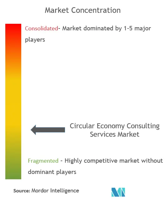 Circular Economy Consulting Services Market Concentration