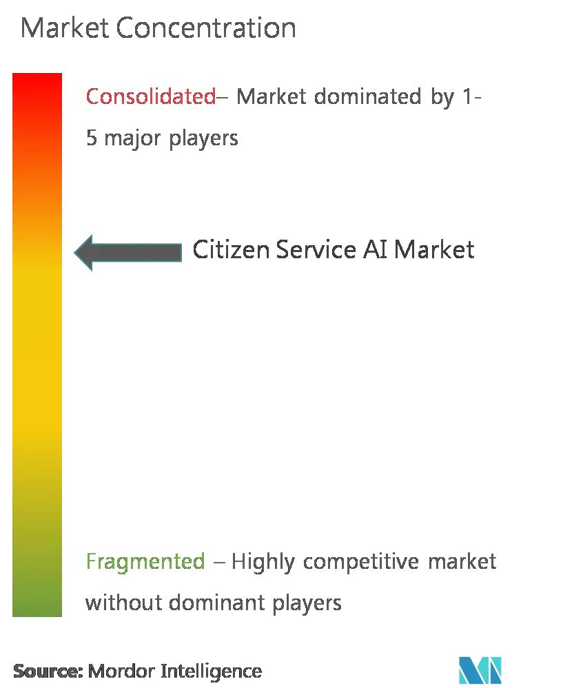 Citizen Services AI Market Concentration