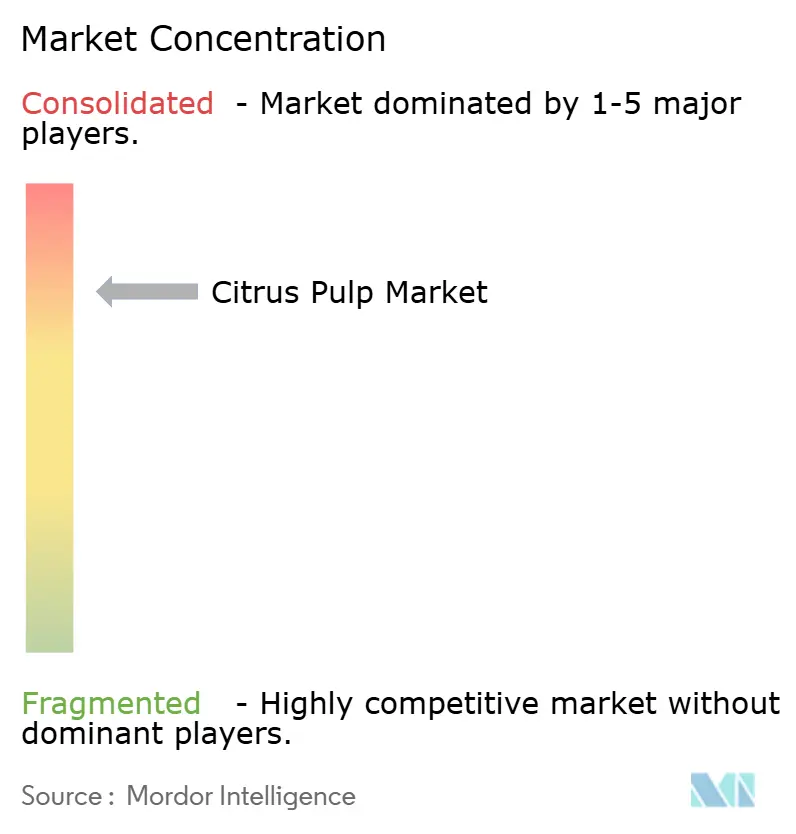 Citrus Pulp Market Concentration