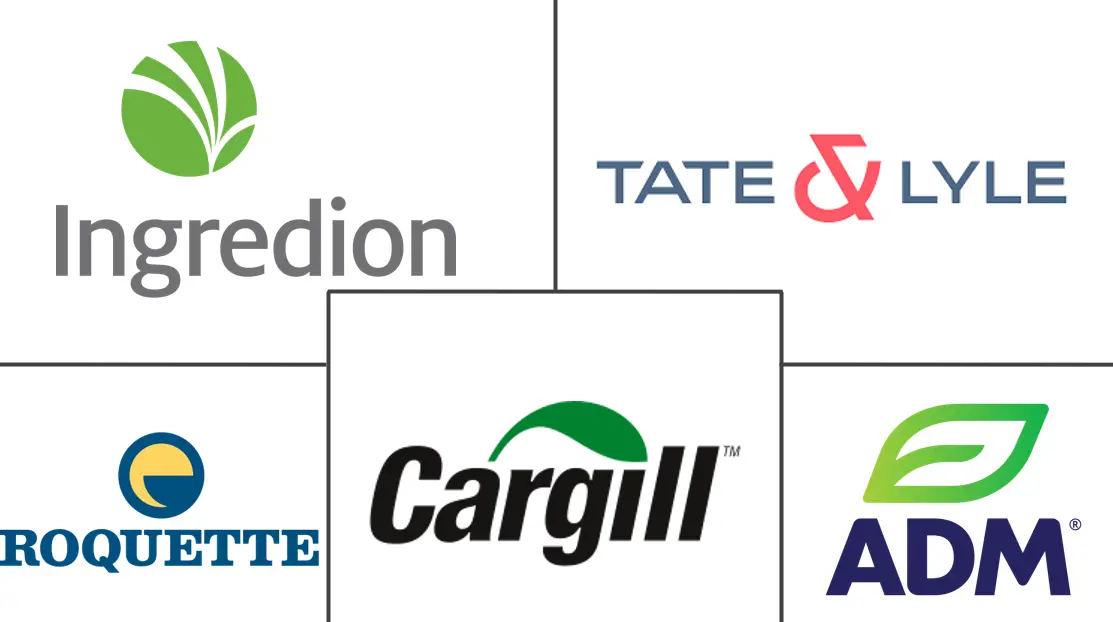Major players in Clean Label Starch industry