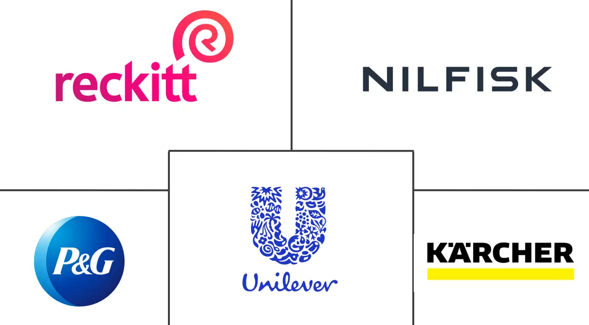 Major players in South Africa Cleaning Products industry