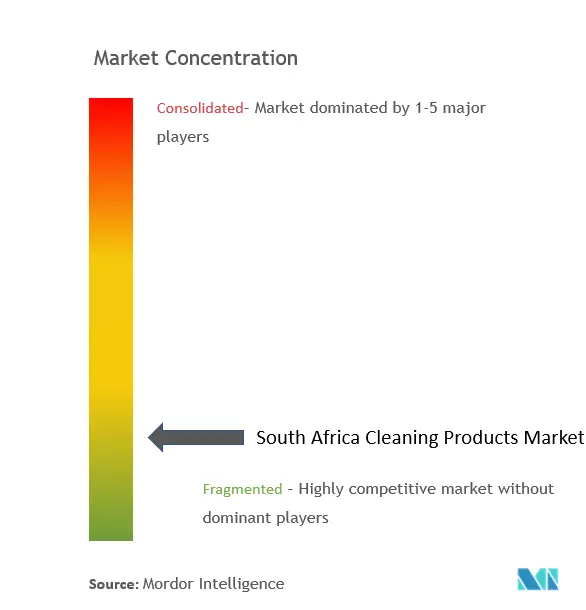 Concentração do mercado de produtos de limpeza da África do Sul