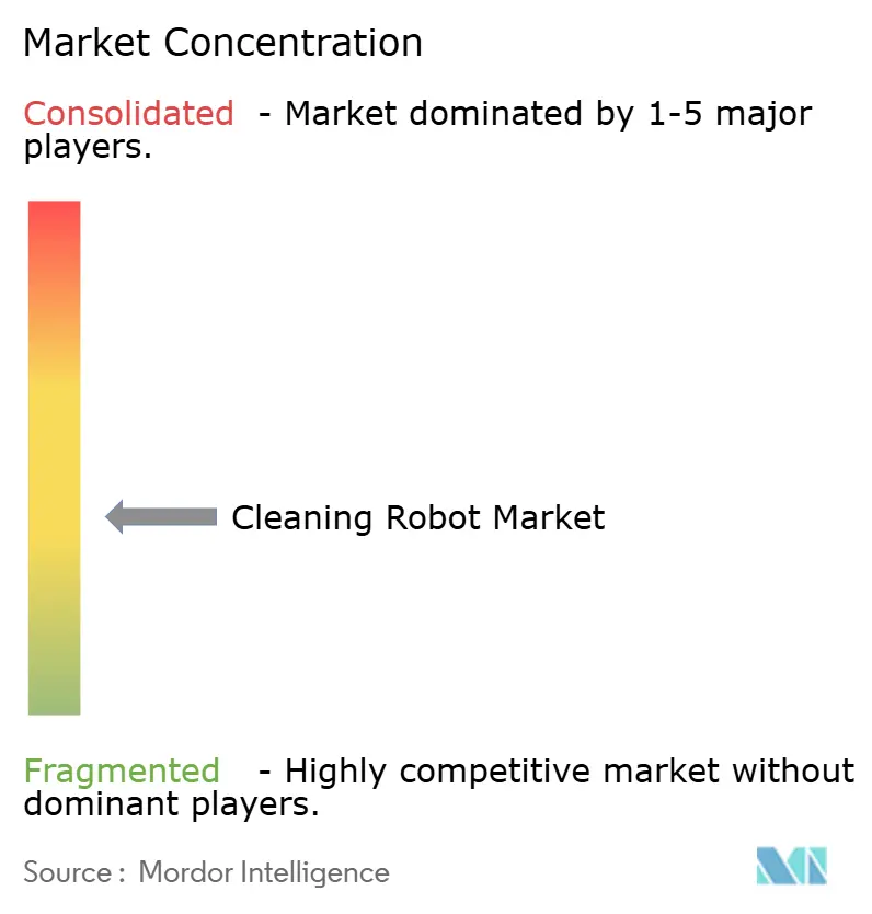 Cleaning Robot Market Concentration