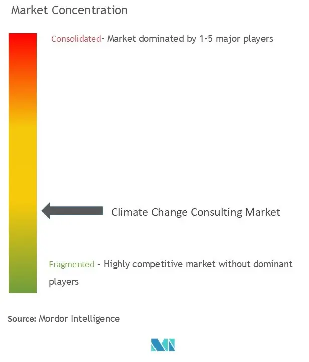 Climate Change Consulting Market Concentration