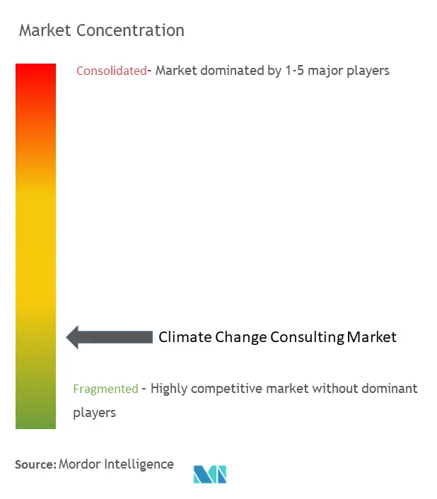 Concentración del mercado de consultoría de cambio climático